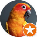 Danyiel Sugden profile picture