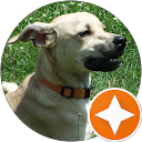 Vincent Miller profile picture