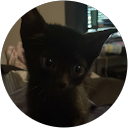 Nova G. profile picture