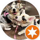 steffy ortiz profile picture