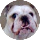 Mike Harris profile picture