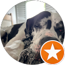 Mike D. profile picture