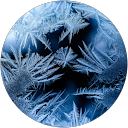 Ryan Ilic profile picture