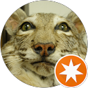 robert waddell profile picture