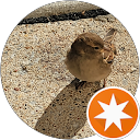 The Wandering Traveler profile picture