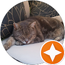 Klaus Willert profile picture