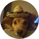 Roger R. profile picture