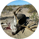 Nomadic Living (Klauberi) profile picture