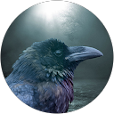 Patricia “FeatherWolf” McNaught Foster profile picture