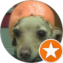 Rachael Smith profile picture