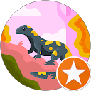 LJ profile picture