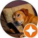 Dania profile picture