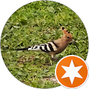 גלב profile picture